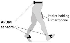 Detecting Gait Asymmetry Using Just a Smartphone